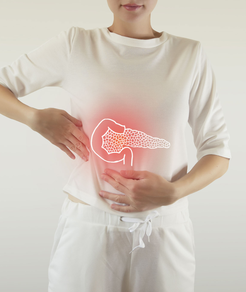 pancreas