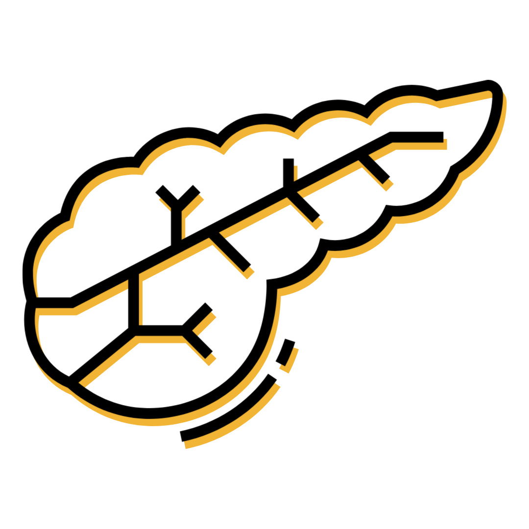 Pancreas Icon PCNA-1